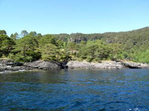 ein Wasserkörper mit Bäumen im Hintergrund in der Unterkunft Chalet Svanöy by Interhome in Grimeli + 21 Fotos