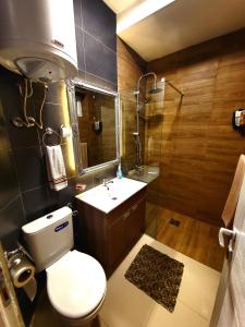 a bathroom with a toilet and a sink and a shower at Katanera 2 in Kraljevo