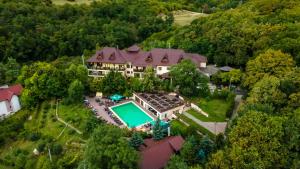 an aerial view of a large house with a swimming pool at Casa cu Tei - Sarata Monteoru in Sărata-Monteoru