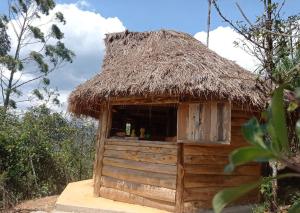 Gallery image of Eco Albergue Azul in Cuispes