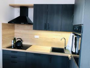 Kuchyňa alebo kuchynka v ubytovaní Apartmán Kašperky