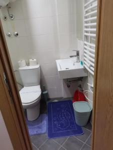 une petite salle de bain avec toilettes et lavabo dans l'établissement Apartmani Nedeljkovic Brzece Kopaonik, à Brzeće 17 autres photos