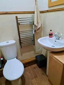 a bathroom with a white toilet and a sink at Cherry Tree Studio in Telford