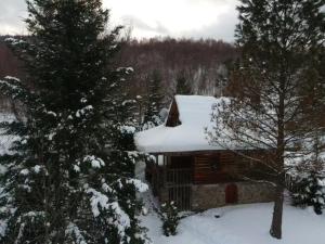 una cabaña con nieve en el techo del bosque en Perlyna Krasiyi, en Vyshka