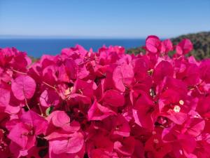 Kép Your Paradise at Costa Brava szállásáról Blanesben a galériában