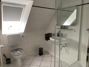 ein Bad mit einer Dusche, einem WC und einem Waschbecken in der Unterkunft Lüttje Koje in Breklum