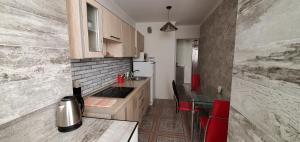 提拉斯浦的住宿－Center Tiraspol，厨房配有水槽和台面