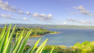 uma vista para a praia e para o oceano em Monte Terras em Tronadora