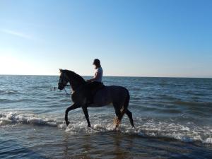 a woman riding a horse in the ocean at De Cyprian Bed & Breakfast in Baaiduinen