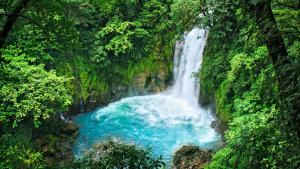 une cascade dans une forêt avec de l'eau bleue dans l'établissement Monte Terras, à Tronadora