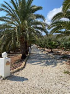 a row of palm trees on a gravel road at Cortijo Torreblanca - 7 personas in Almería