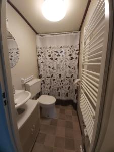 ห้องน้ำของ Comfortabel en gezellig familie chalet tot 6 personen op de Veluwe Bungalowpark De Kern - All inclusive