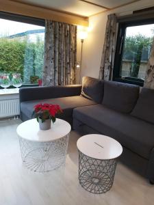 Posezení v ubytování Comfortabel en gezellig familie chalet tot 6 personen op de Veluwe Bungalowpark De Kern - All inclusive
