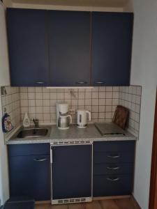 Köök või kööginurk majutusasutuses Vier Jahreszeiten 3 37