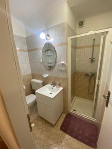 a bathroom with a shower and a sink and a toilet at Apartments Oliva in Poreč