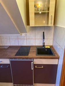 a small kitchen with a sink and a counter top at Apartments Oliva in Poreč