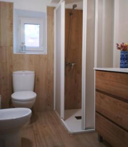 a bathroom with a shower and a toilet and a sink at 643km landa etxea in Villatuerta