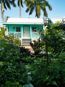 a blue house with palm trees and flowers at Harbour View Boutique Hotel & Wellness Retreat in Belize City +46 photos