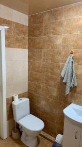 Koupelna v ubytování Апартаменти центр міста біля жд вокзалу Перемоги