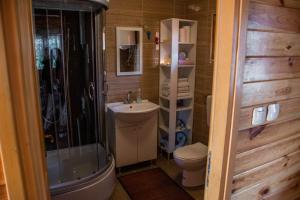ein Bad mit einer Dusche, einem WC und einem Waschbecken in der Unterkunft Petit chalet Belosevic in Kuželj