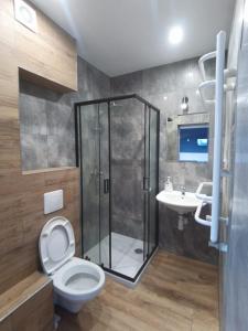 a bathroom with a shower and a toilet and a sink at Wysoka Fala in Jastrzębia Góra +30 photos