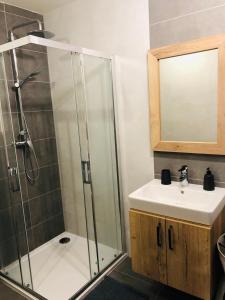 Kúpeľňa v ubytovaní Apartmán Kašperky + 12 fotografií