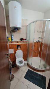Koupelna v ubytování Apartmán Norika + 10 fotografií