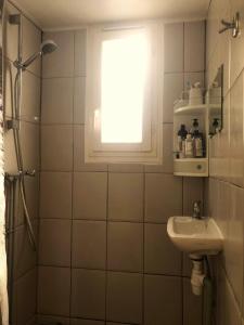 baño con ducha, lavabo y ventana en Charming one bedroom apartment in Brive center, en Brive-la-Gaillarde
