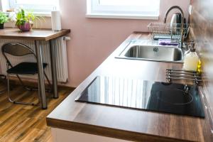 Kuchyňa alebo kuchynka v ubytovaní Diana Apartments Karlovy Vary