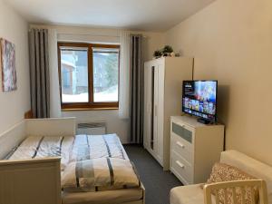 una camera da letto con un letto e una TV a schermo piatto di Horský apartmán ROKY - Krkonoše a Rokytnice nad Jizerou