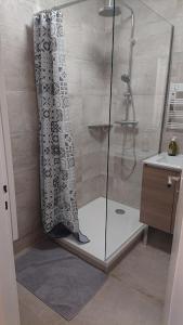 a shower with a glass shower curtain in a bathroom at Appartement T2 45 M2 Meublé 3 étoiles tout confort hyper centre de Dax in Dax +16 photos