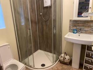 a bathroom with a shower and a toilet and a sink at Tullybrannigan Barn in Newcastle
