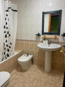 ein Badezimmer mit einem Waschbecken, einem WC und einem Spiegel in der Unterkunft UIM Mediterraneo Diagonal 16 Wfi in Puerto de Sagunto