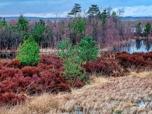 Fotografie z fotogalerie ubytování 8 person holiday home in Silkeborg-By Traum v destinaci Silkeborg + 32 fotografií