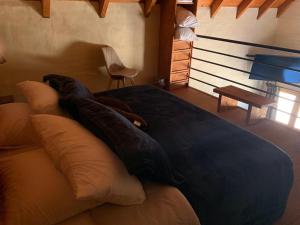 1 dormitorio con 1 cama grande y 1 silla en CABAÑAS SAN MATEO en mazamitla en Mazamitla