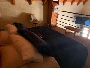 Posezení v ubytování CABAÑAS SAN MATEO en mazamitla