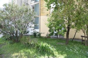 Κήπος έξω από το D&D Apartment 1