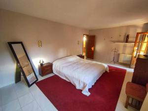 a bedroom with a bed and a mirror and a red rug at villa Anastasia in Cumbre del Sol