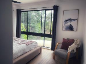Currumbin ValleyPvc的卧室设有窗户,墙上有鸟