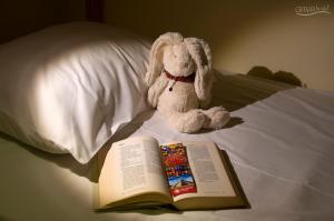 
a white teddy bear sitting on top of a bed at GAVA hostel in Punta Cana
