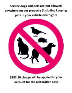 un cartello che legga "Attenzione cani e animali domestici non sono ammessi da nessuna parte nella nostra di Holiday Motel a Sault Ste. Marie