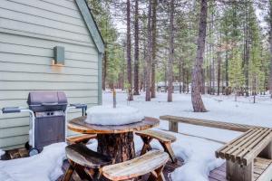 Forest Hideaway talvel