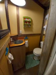 a small bathroom with a toilet and a sink at The General Store Charming Suite Themed 1890s Acorn Hideaways in Canton