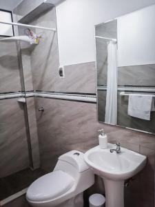 a bathroom with a toilet and a sink and a mirror at Complete apartment, services included, WIFI, Netflix in Lima