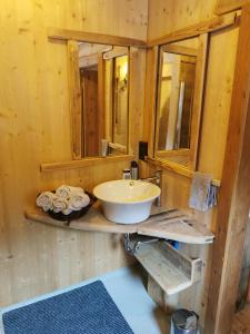 Phòng tắm tại Kaiserhaus Harald Astner Ebbs Studio 2