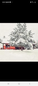 un árbol está cubierto de nieve frente a una casa en Farmstay Marianówka u Tesi en Giby