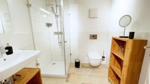 een badkamer met een douche, een toilet en een wastafel bij Wassergasse 11 in Regensburg