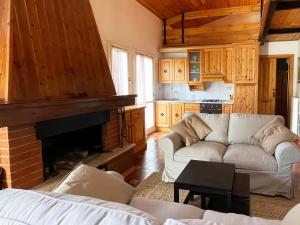 a living room with a couch and a fireplace at La Grande Casa Di Montagna in Castel di Sangro