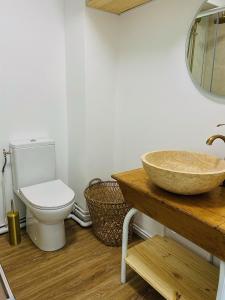 ヴィムルーにあるVue mer et Garage privé, studio balcon plein Sudの洗面台とトイレ付きのバスルーム +4枚の写真