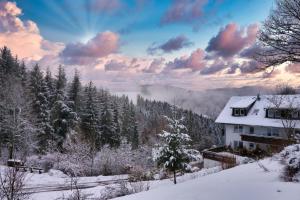 ein Haus im Schnee mit Bäumen und Wolken in der Unterkunft Landhaus Valentin in Triberg